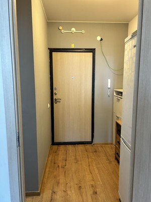 Продам однокомнатную (1-комн.) квартиру, Александра Грина б-р, 3, Санкт-Петербург г