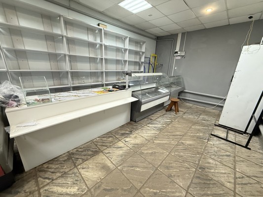 Продам торговое помещение 70 м2, Центральная ул, 15а, Хреновое с