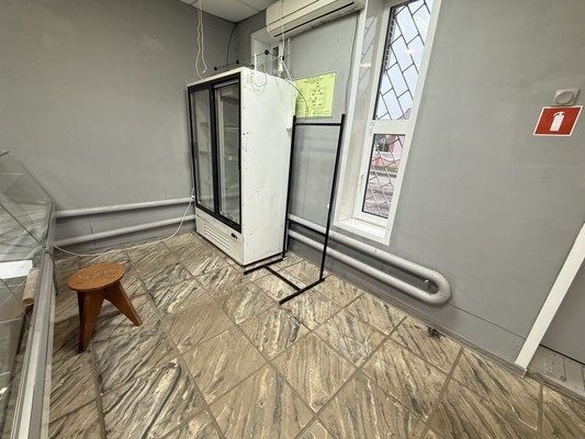 Продам торговое помещение 70 м2, Центральная ул, 15а, Хреновое с