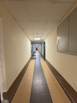 Сдам однокомнатную (1-комн.) квартиру, Вилеровский пер, 6, Шушары п