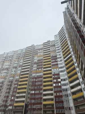 Сдам однокомнатную (1-комн.) квартиру, Вилеровский пер, 6, Шушары п