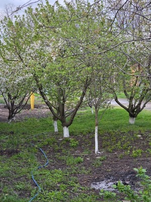 Продам дом, Коллективная ул, 41, Тихорецк г, 0 км от города