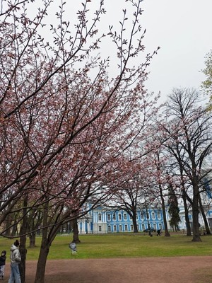 Продам комнату в 9-комн. квартире, Бонч-Бруевича ул, 1Б, Санкт-Петербург г