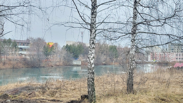 Продам участок 6 соток, Фермерское хоз., Ветеранов ул, Миасс г, 0 км от города