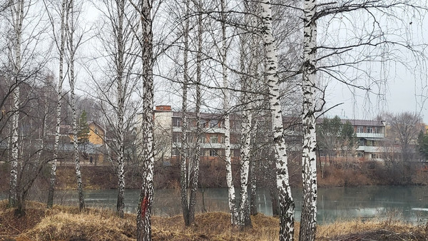 Продам участок 6 соток, Фермерское хоз., Ветеранов ул, Миасс г, 0 км от города