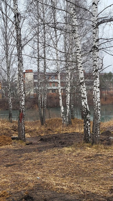 Продам участок 6 соток, Фермерское хоз., Ветеранов ул, Миасс г, 0 км от города