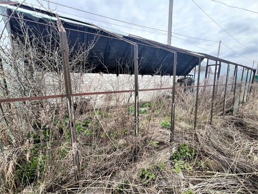 Продам дачу, сдт Хотылево тер, 137, Нетьинка п, 0 км от города