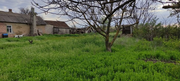 Продам участок 34 соток, ИЖС, Октябрьская ул, 30а, Беглица с, 0 км от города