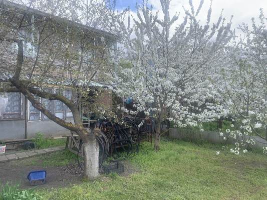 Продам дачу, СНТ Маяк тер, Волгодонск г, 0 км от города