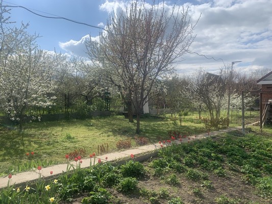 Продам дачу, СНТ Маяк тер, Волгодонск г, 0 км от города