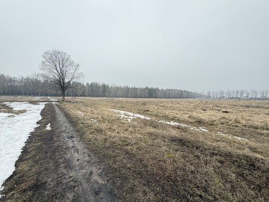 Продам участок 6,3 соток, ИЖС, Глинки ул, Воронеж г, 0 км от города