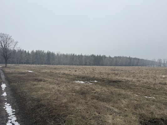 Продам участок 6,3 соток, ИЖС, Глинки ул, Воронеж г, 0 км от города