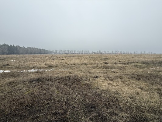 Продам участок 6,3 соток, ИЖС, Глинки ул, Воронеж г, 0 км от города