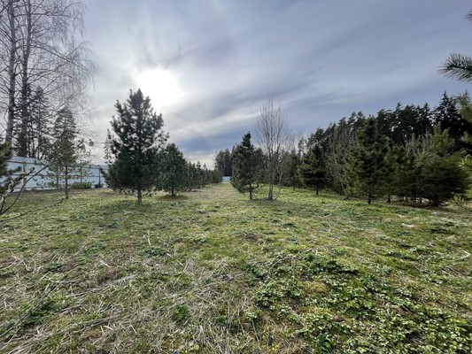 Продам участок 16,7 соток, Садоводство, Новая ул, Бережки д, 0 км от города