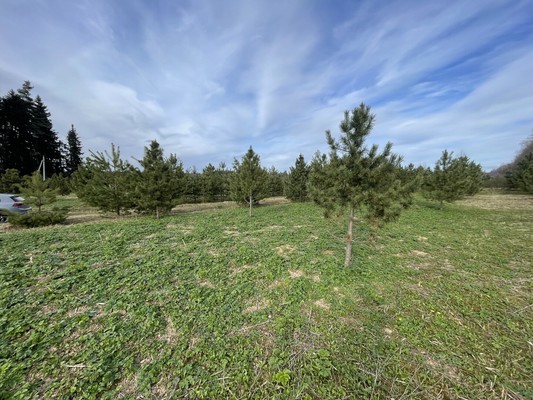 Продам участок 16,7 соток, Садоводство, Новая ул, Бережки д, 0 км от города