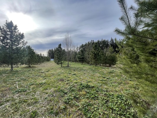 Продам участок 16,7 соток, Садоводство, Новая ул, Бережки д, 0 км от города