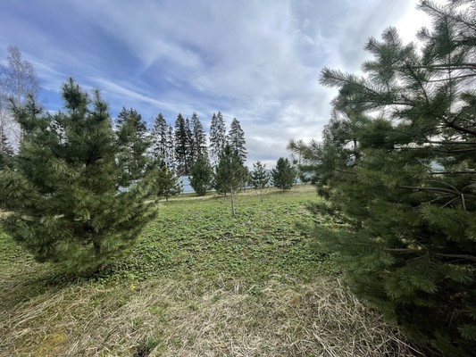 Продам участок 16,7 соток, Садоводство, Новая ул, Бережки д, 0 км от города