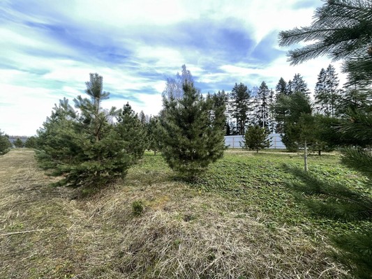 Продам участок 16,7 соток, Садоводство, Новая ул, Бережки д, 0 км от города