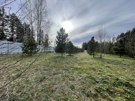 Продам участок 16,7 соток, Садоводство, Новая ул, Бережки д, 0 км от города