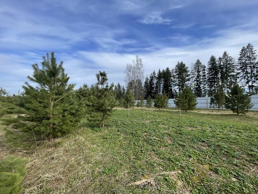 Продам участок 16,7 соток, Садоводство, Новая ул, Бережки д, 0 км от города