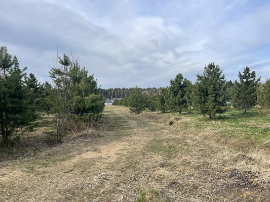 Продам участок 16,7 соток, Садоводство, Новая ул, Бережки д, 0 км от города