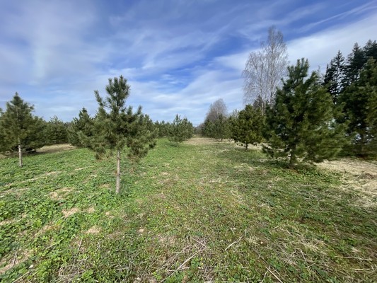 Продам участок 16,7 соток, Садоводство, Новая ул, Бережки д, 0 км от города