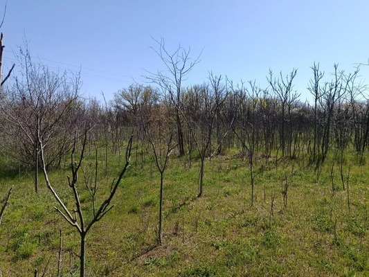 Продам участок 9,3 соток, Фермерское хоз., Константиновка с, 0 км от города