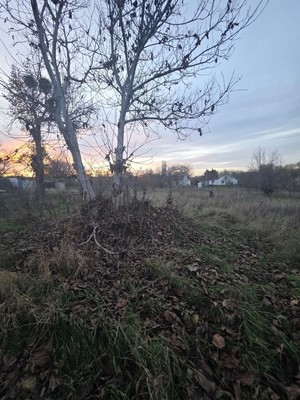 Продам дом, Мраморная ул, 8, Заречное с, 0 км от города