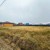 Продам участок 7,6 соток, ИЖС, Лесные дачи СХ тер, Покров д, 0 км от города