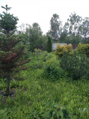 Продам дом, СНТ Родник тер, 20, Холмы д, 0 км от города