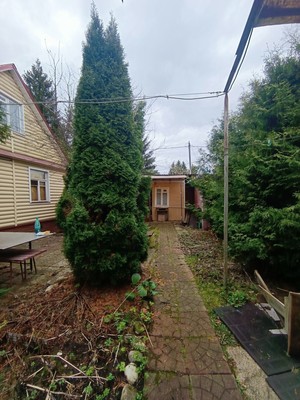 Продам дачу, объединения Наука-3 тер, 309, Орудьево с, 0 км от города