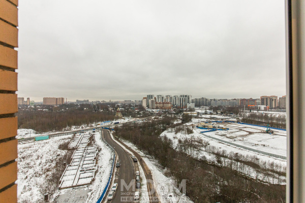 Продам трехкомнатную (3-комн.) квартиру, Арсенальная ул, 1, Новое Девяткино д