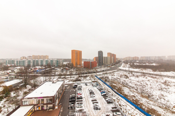 Продам трехкомнатную (3-комн.) квартиру, Арсенальная ул, 1, Новое Девяткино д