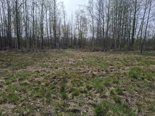 Продам участок 8,9 соток, ИЖС, Береговая ул, Великий Новгород г, 0 км от города