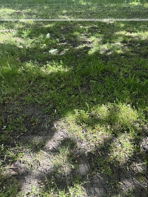 Продам участок 6 соток, Фермерское хоз., Радуга снт, Армавир г, 0 км от города