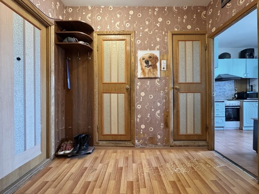 Продам двухкомнатную (2-комн.) квартиру, Туристская ул, 13к1, Санкт-Петербург г