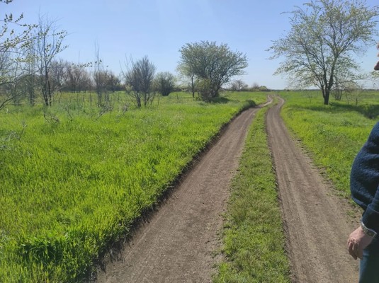 Продам участок 11 соток, Фермерское хоз., Мичуринец-1 дп, 0 км от города
