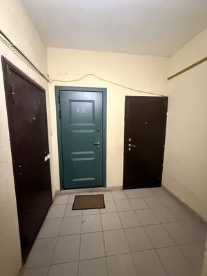Продам однокомнатную (1-комн.) квартиру, Варшавское ш, 73к2, Бородино д
