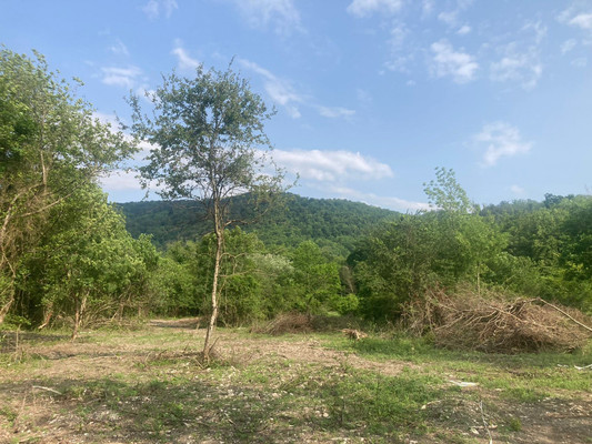 Продам участок 5,5 соток, Фермерское хоз., Агуй-Шапсуг аул, 0 км от города