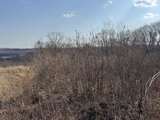 Продам участок 11,11 соток, Фермерское хоз., Западная ул, 15, Геолог тер. СНТ, 0 км от города