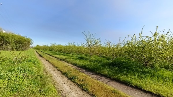 Продам участок 25 соток, ИЖС, Механизаторов ул, Измайлов х, 0 км от города