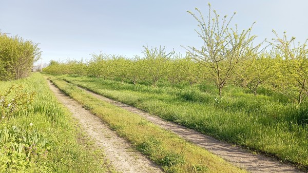 Продам участок 25 соток, ИЖС, Механизаторов ул, Измайлов х, 0 км от города