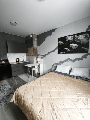 Продам однокомнатную (1-комн.) квартиру, Степной пр-кт, 16к5, Всеволожск г