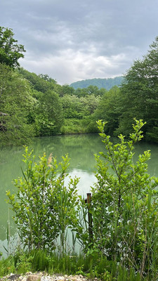 Продам участок 34 соток, Фермерское хоз., СНТ Дружное тер, Шепси с, 0 км от города