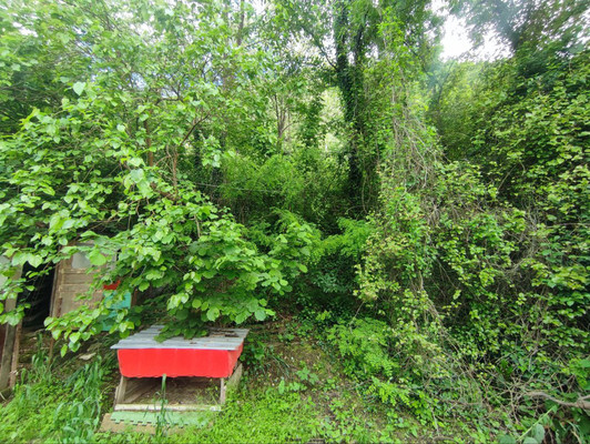 Продам участок 9 соток, ИЖС, 4, Заречье с, 0 км от города