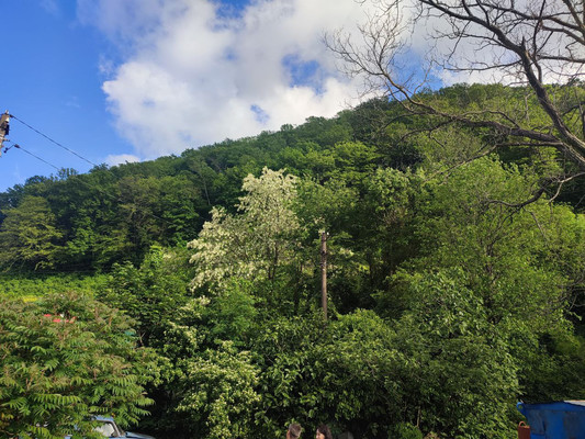 Продам участок 9 соток, ИЖС, 4, Заречье с, 0 км от города