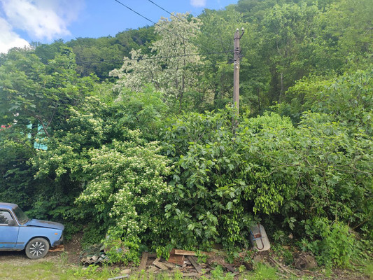 Продам участок 9 соток, ИЖС, 4, Заречье с, 0 км от города