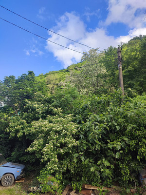 Продам участок 9 соток, ИЖС, 4, Заречье с, 0 км от города