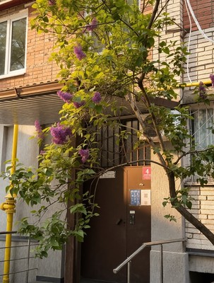 Продам двухкомнатную (2-комн.) квартиру, им. 40-летия Победы ул, 37/1, Краснодар г