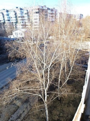 Продам двухкомнатную (2-комн.) квартиру, Панфиловцев ул, 35, Барнаул г